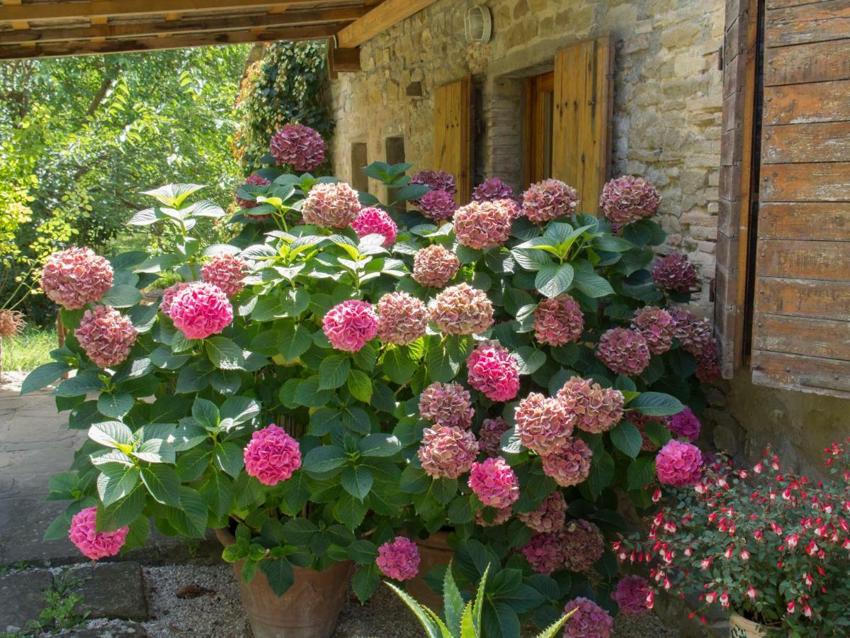 Bed and Breakfast Casa La Valle, Gubbio, Frazione Santa Cristina Exterior foto